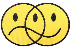 Bolsista Voluntário(a)